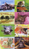 Наклейка СвитАрт Набор из 8 наклеек на 1 листе NL07 Котята